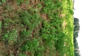 Anal quickie outdoors