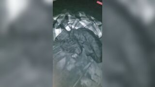 Ashley B. Warms up sucking my dick! Part2